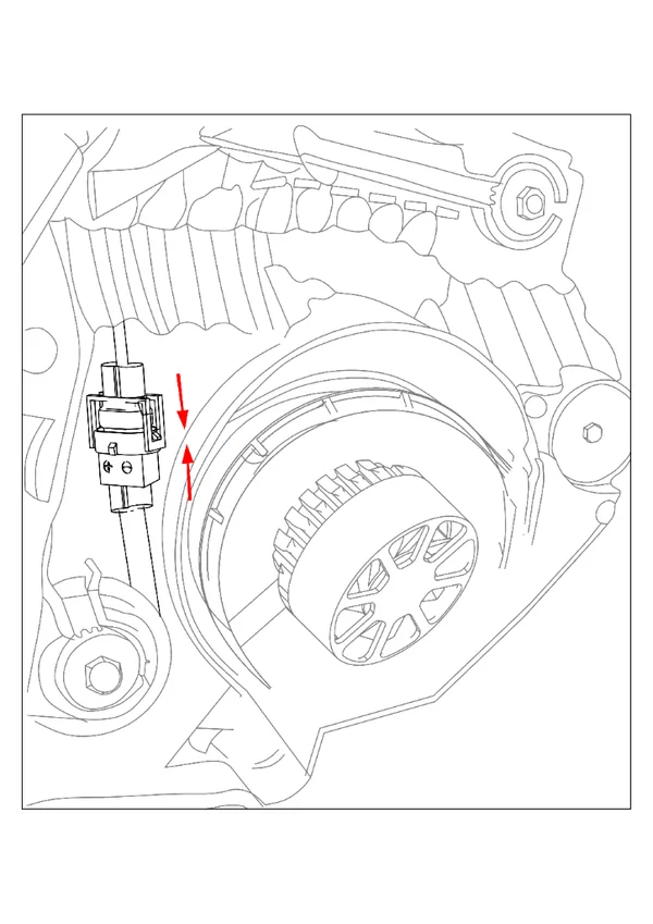 Step 4: Connect the bulb to cable
